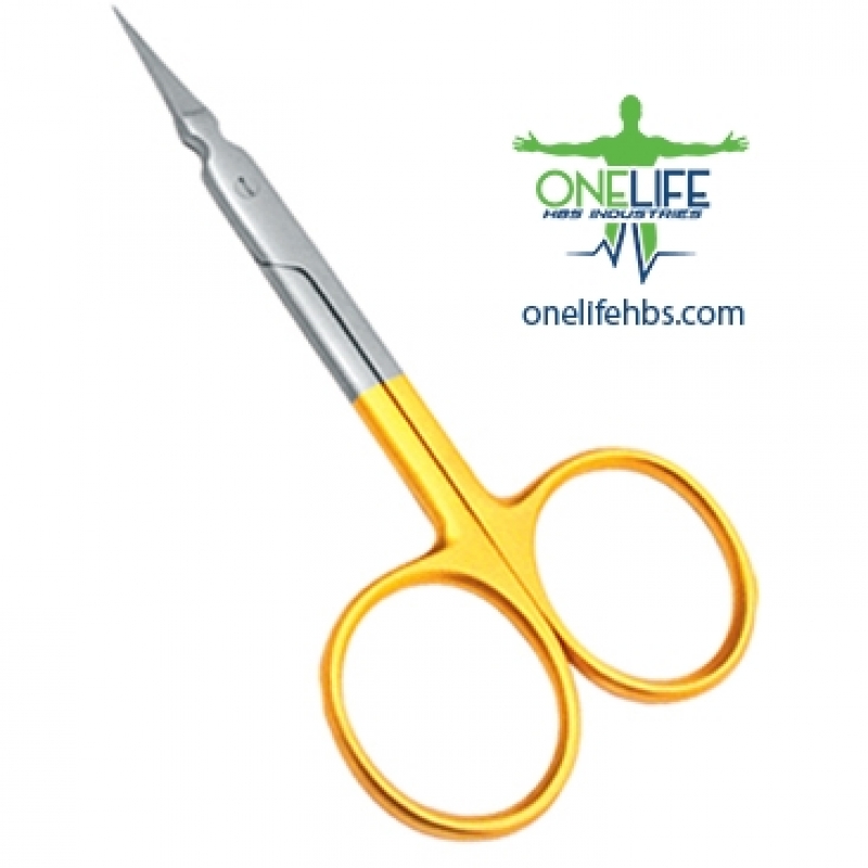 Upper Centrals and Canines